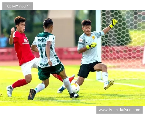 世界乒乓球联赛俱乐部青训导师轮岗第30批名单发布,乒乓世界职业联队 世界乒乓球联赛俱乐部青训导师轮岗第30批名单发布,乒乓世界职业联队