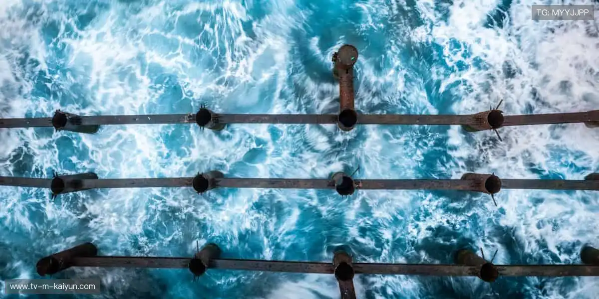 🏆 见证每一刻荣耀，体育赛事官网，让热爱永不缺席！